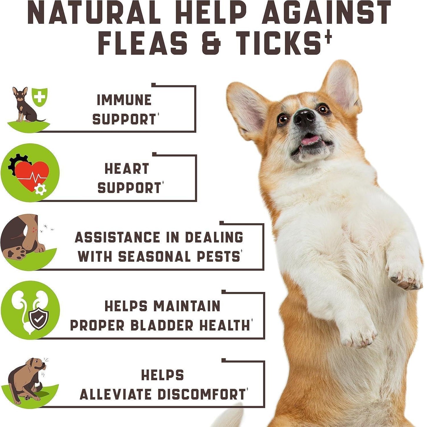 Flea and Tick Prevention Chewable for Dogs No Collars, No Mess Easy Help with Flea and Tick for Dogs American Quality for All Breeds and Ages DuckFlavored Treats 180 Flea Chews for Dogs
