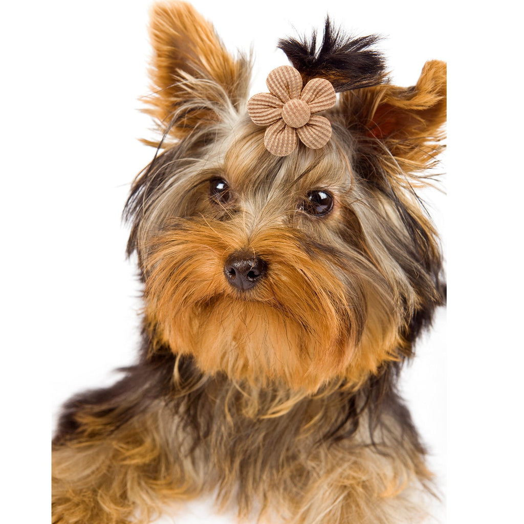 Pet Headdress Flower Spring Flower Solid Color Headdress Flower Dog Cat Accessories
