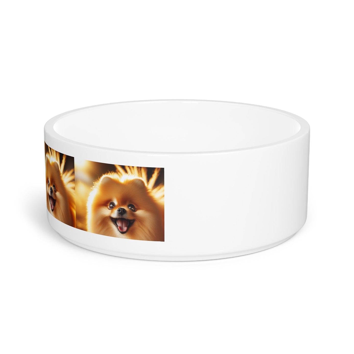 Ceramic Pet Bowl – 16 oz Dog Feeding Bowl