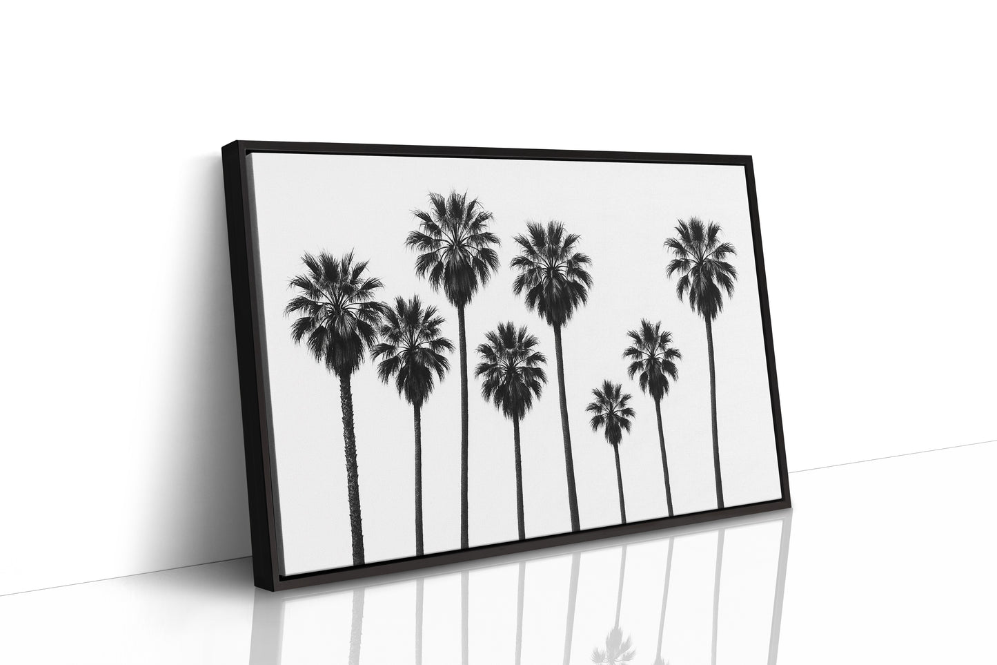 Seven Palms in Perfect Rhythm