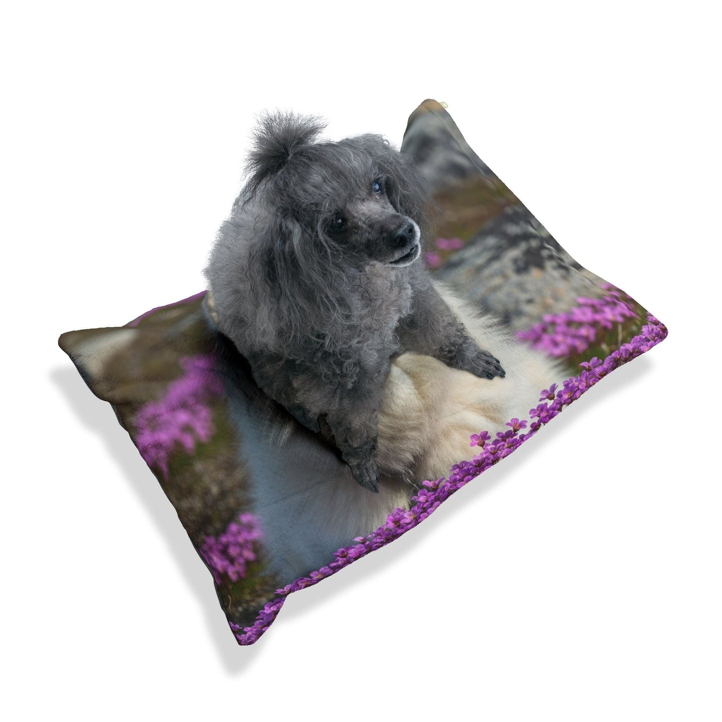 Lit pour animaux de compagnie – Lit douillet pour chien, 3 tailles disponibles