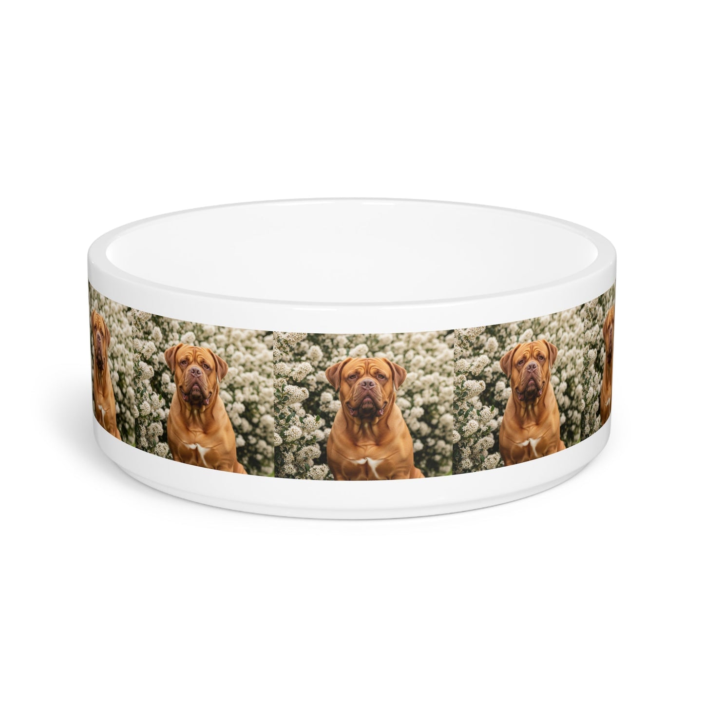 Ceramic Pet Bowl – 16 oz Dog Feeding Bowl