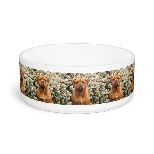 Ceramic Pet Bowl – 16 oz Dog Feeding Bowl