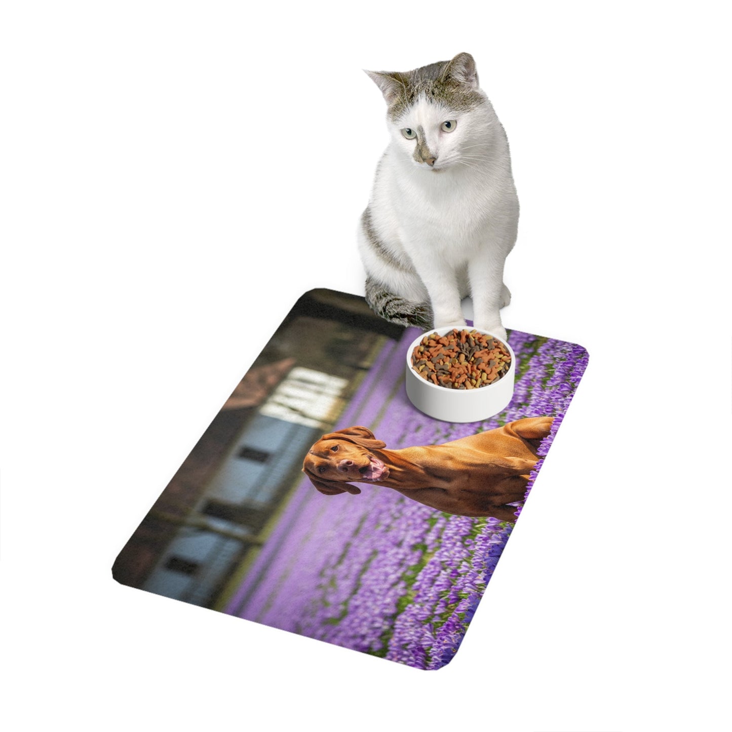 Tapis antidérapant pour animaux de compagnie – Tapis d'alimentation étanche pour chiens