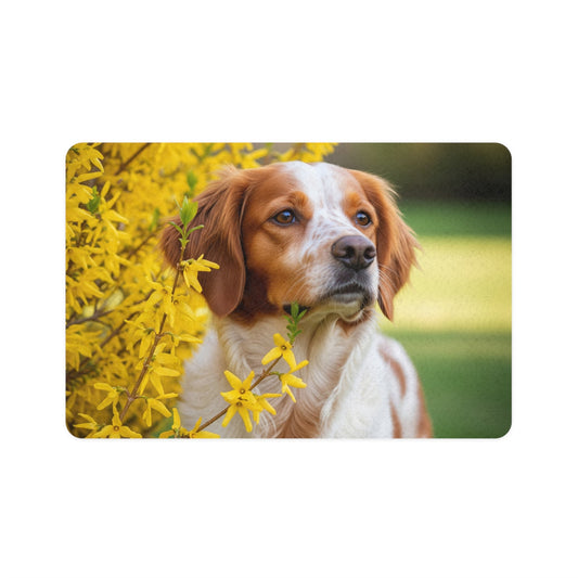Non-Slip Pet Food Mat – Waterproof Feeding Mat for Dogs