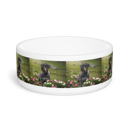 Ceramic Pet Bowl – 16 oz Dog Feeding Bowl