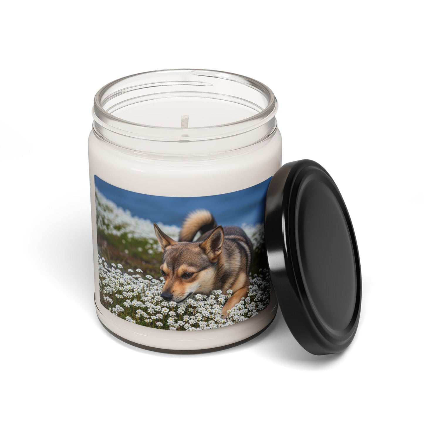 Soy Candle – Scented Jar Candle
