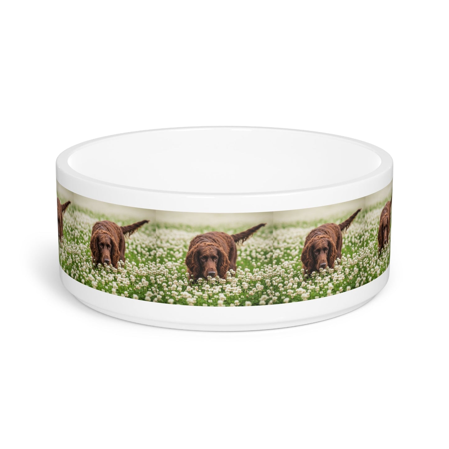 Ceramic Pet Bowl – 16 oz Dog Feeding Bowl