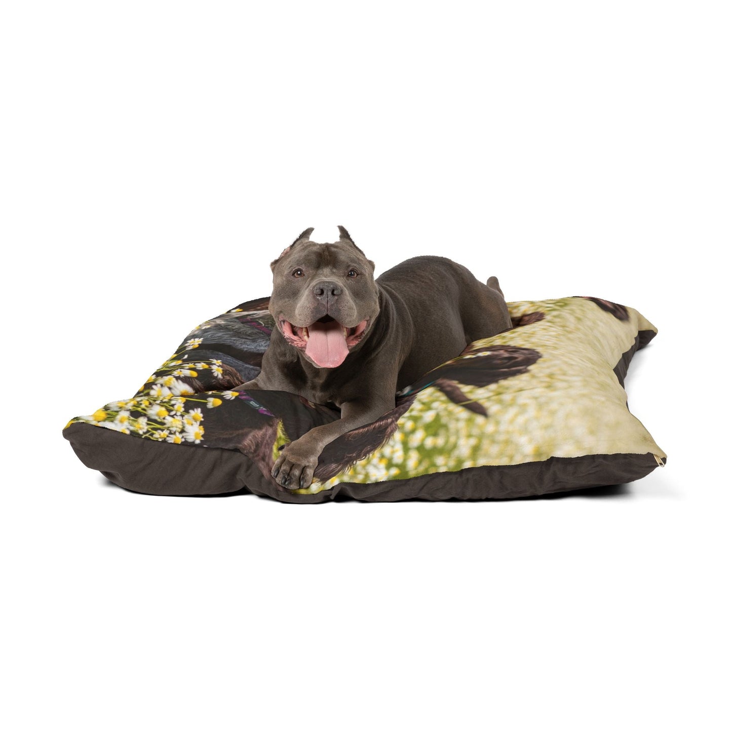 Haustierbett – Plüsch-Hundebett, 3 Größenoptionen