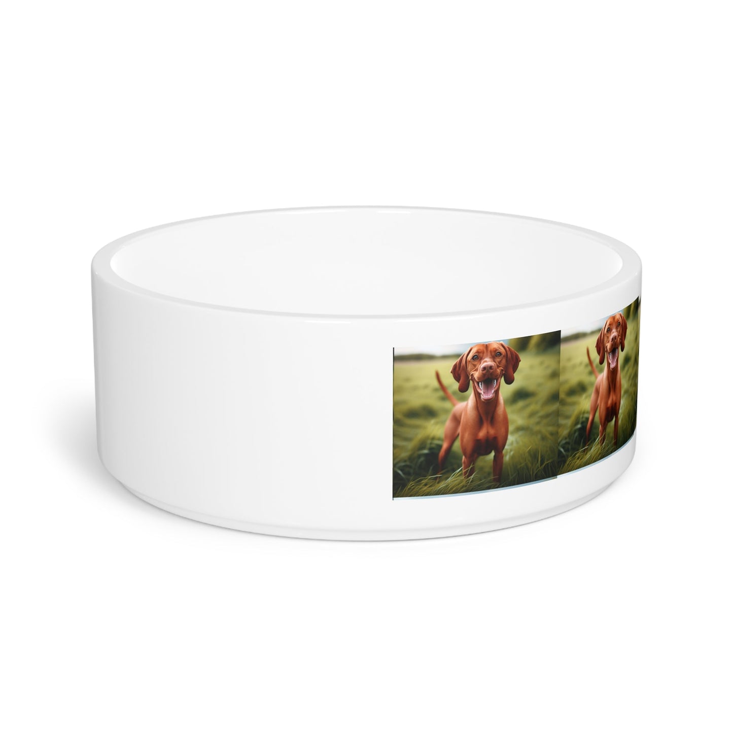 Ceramic Pet Bowl – 16 oz Dog Feeding Bowl