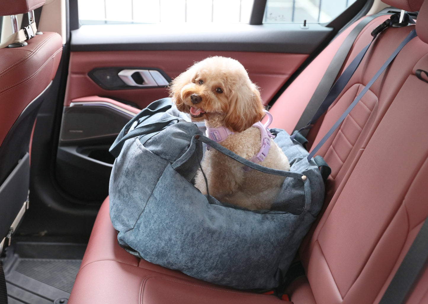 Siège de voiture pour chien Puff Guard - Bleu