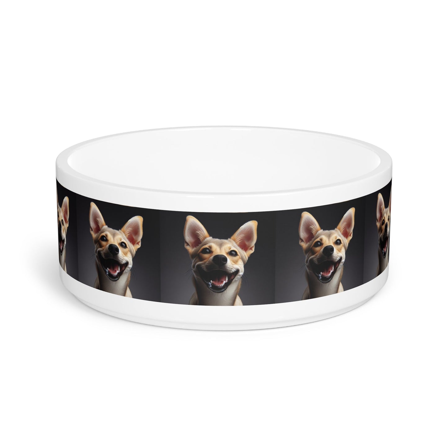 Ceramic Pet Bowl – 16 oz Dog Feeding Bowl