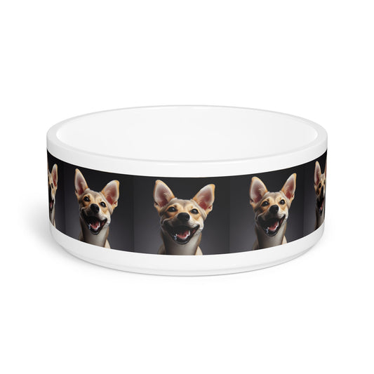 Ceramic Pet Bowl – 16 oz Dog Feeding Bowl