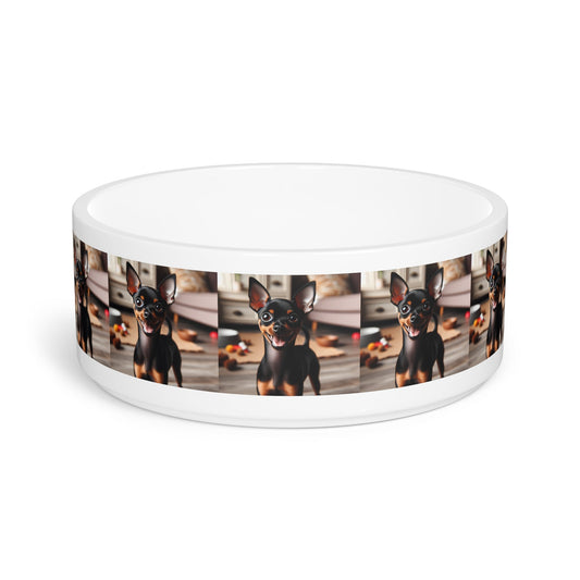 Ceramic Pet Bowl – 16 oz Dog Feeding Bowl