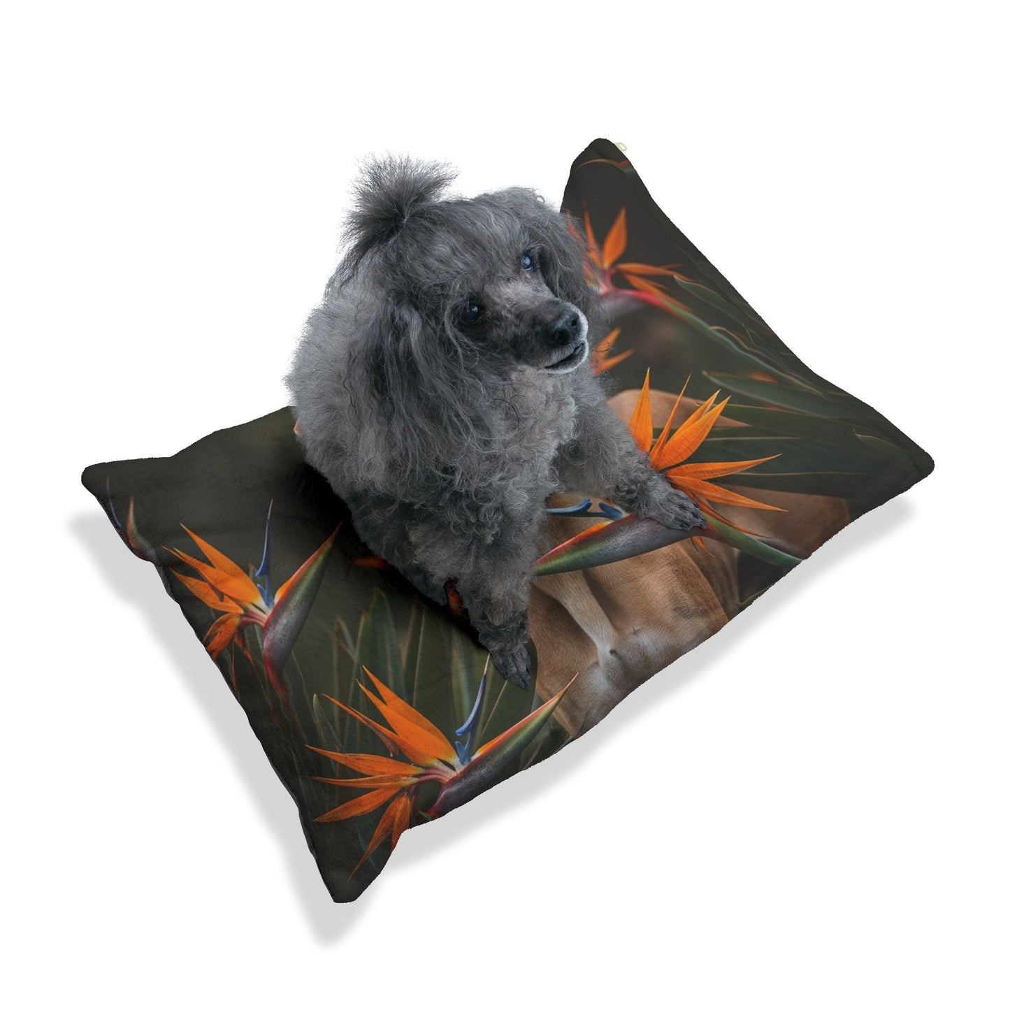 Lit pour animaux de compagnie – Lit douillet pour chien, 3 tailles disponibles