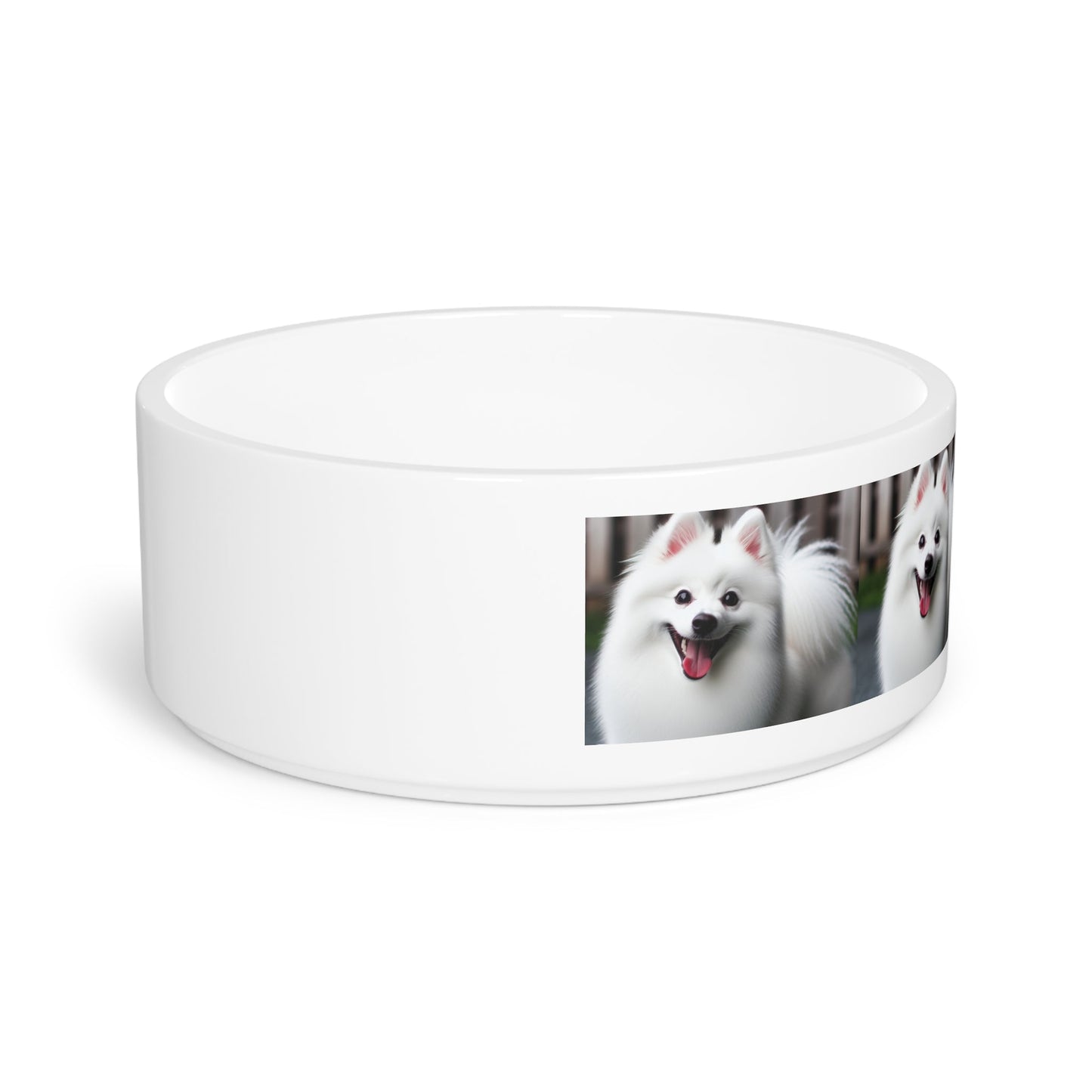 Ceramic Pet Bowl – 16 oz Dog Feeding Bowl