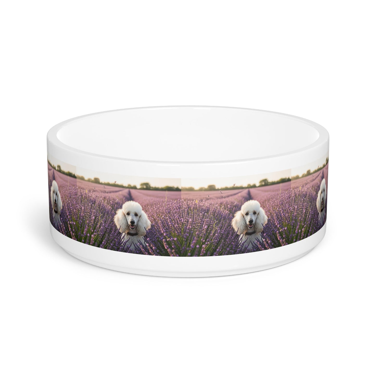 Ceramic Pet Bowl – 16 oz Dog Feeding Bowl