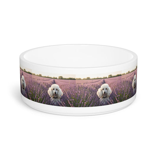 Ceramic Pet Bowl – 16 oz Dog Feeding Bowl