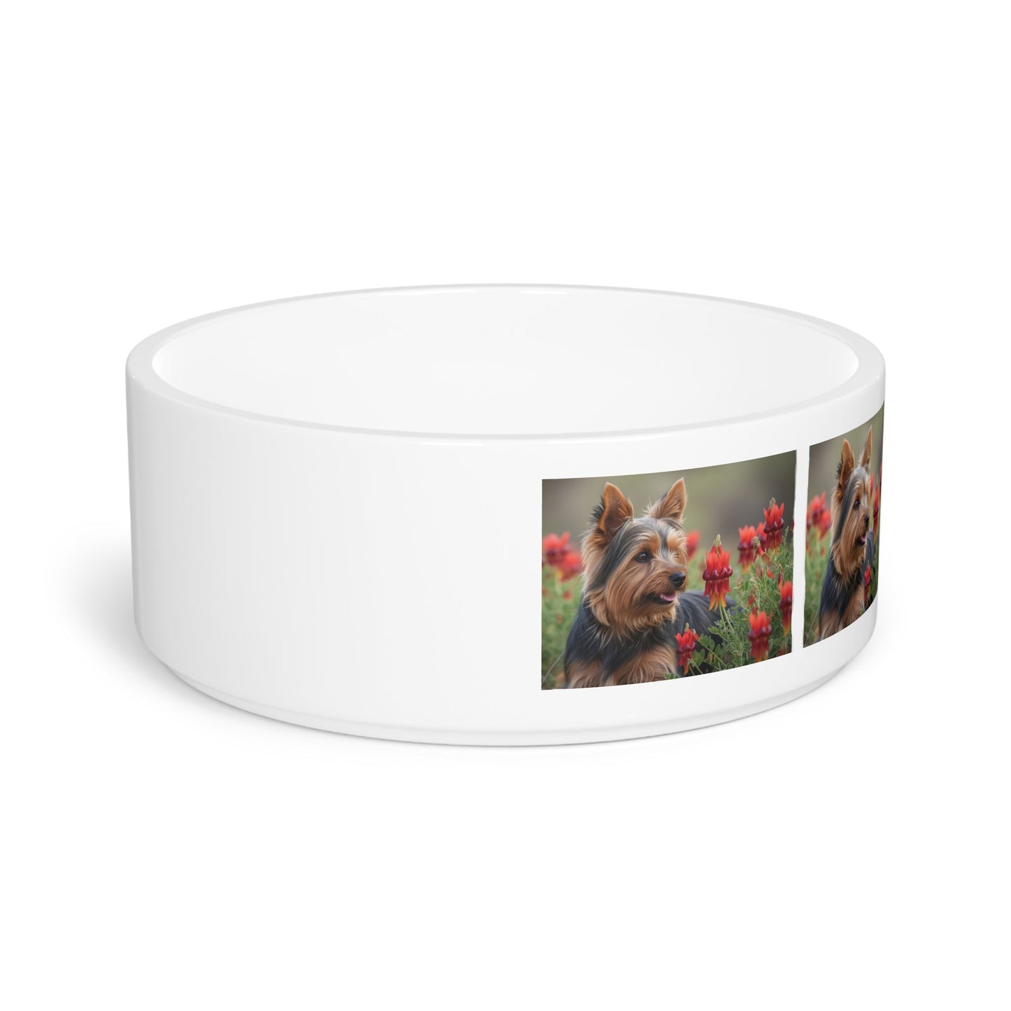 Ceramic Pet Bowl – 16 oz Dog Feeding Bowl