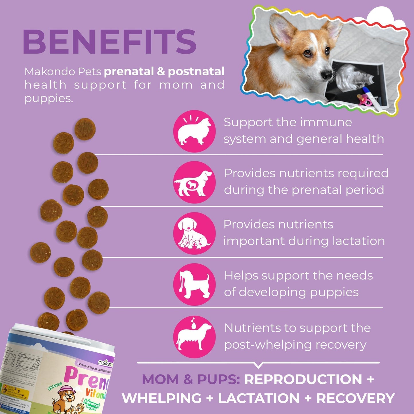 Dog Prenatal Vitamins 120 Soft Chews Multivitamin Folic Acid Zinc B Complex DHA & EPA Omegas and Probiotics Supplement for Pregnant Nursing Breastfeeding pet Mom & Puppy Vitamin Formula