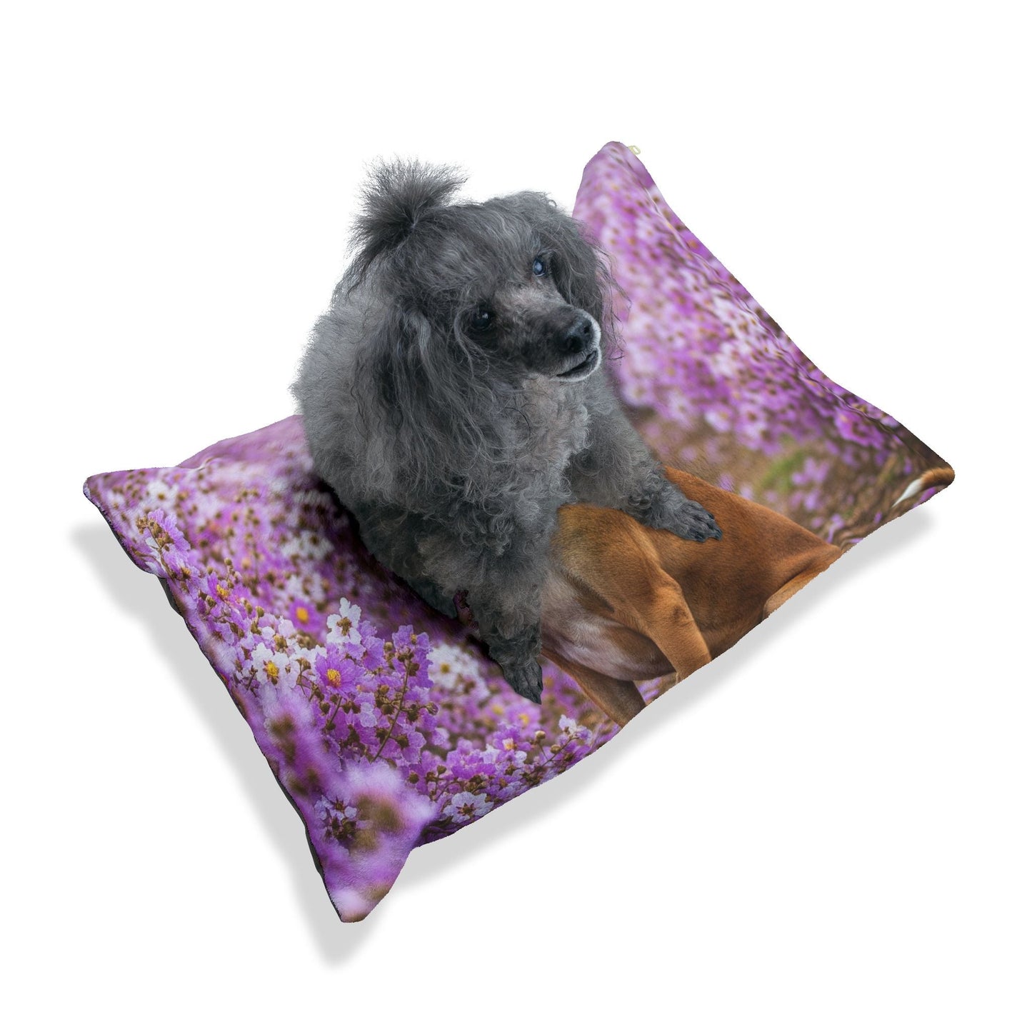 Lit pour animaux de compagnie – Lit douillet pour chien, 3 tailles disponibles
