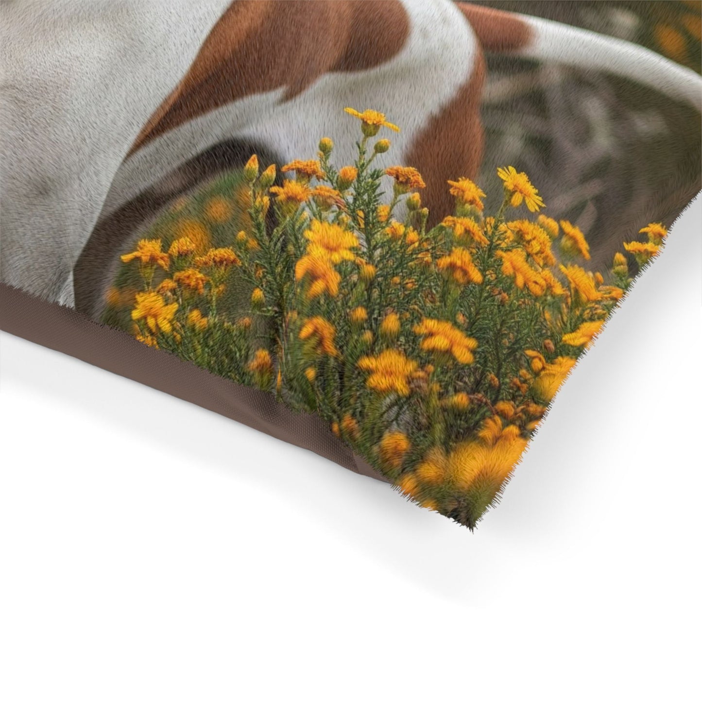 Pet Bed – Plush Dog Bed, 3 Size Options