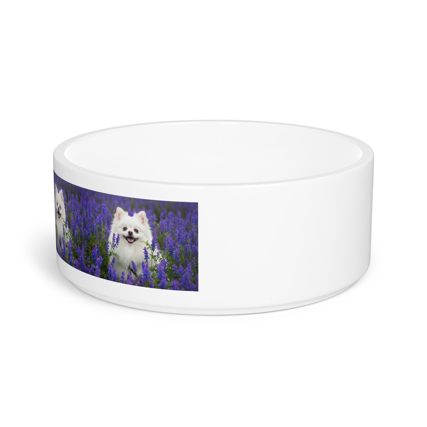 Ceramic Pet Bowl – 16 oz Dog Feeding Bowl