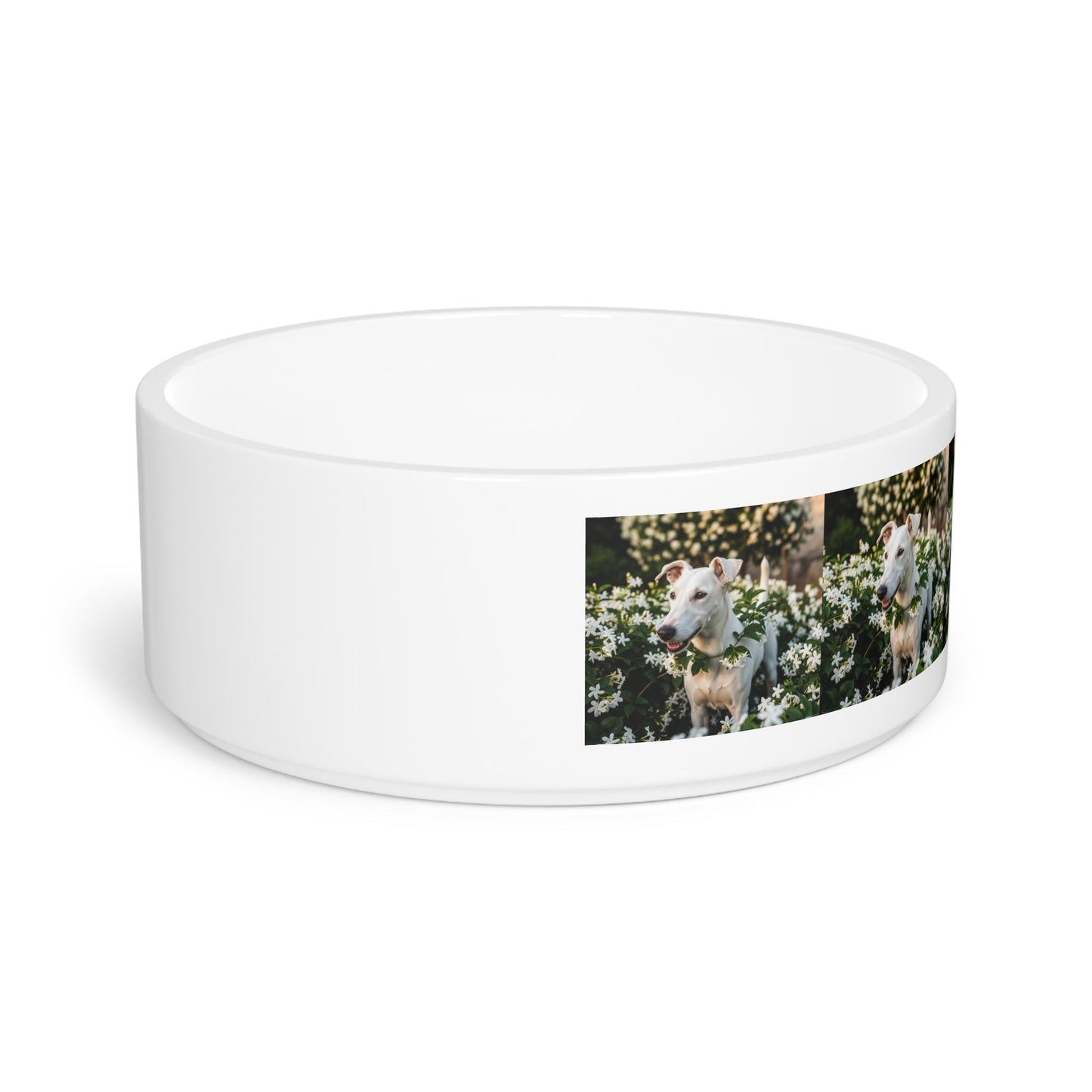 Ceramic Pet Bowl – 16 oz Dog Feeding Bowl