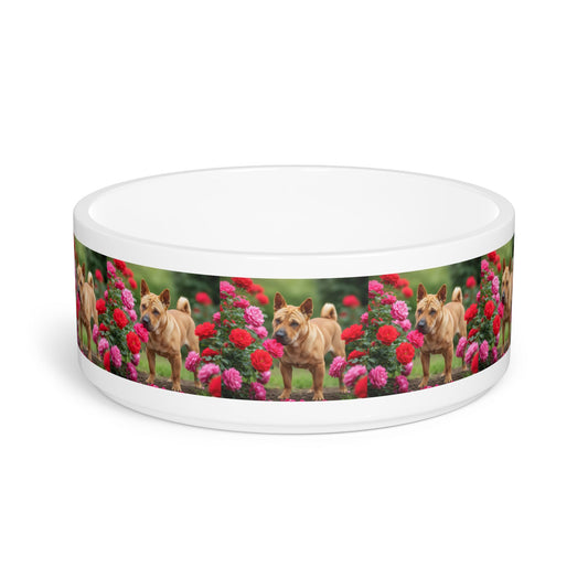 Ceramic Pet Bowl – 16 oz Dog Feeding Bowl
