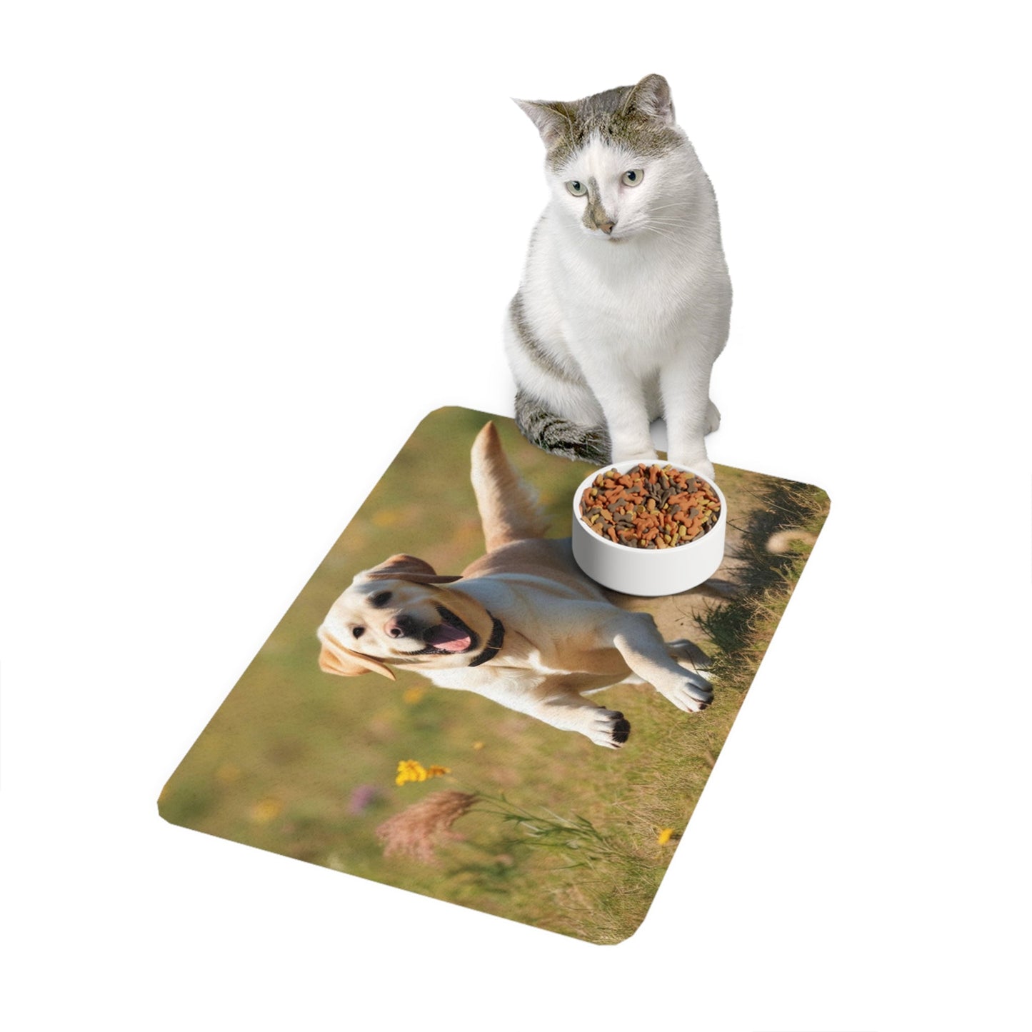 Non-Slip Pet Food Mat – Waterproof Feeding Mat for Dogs