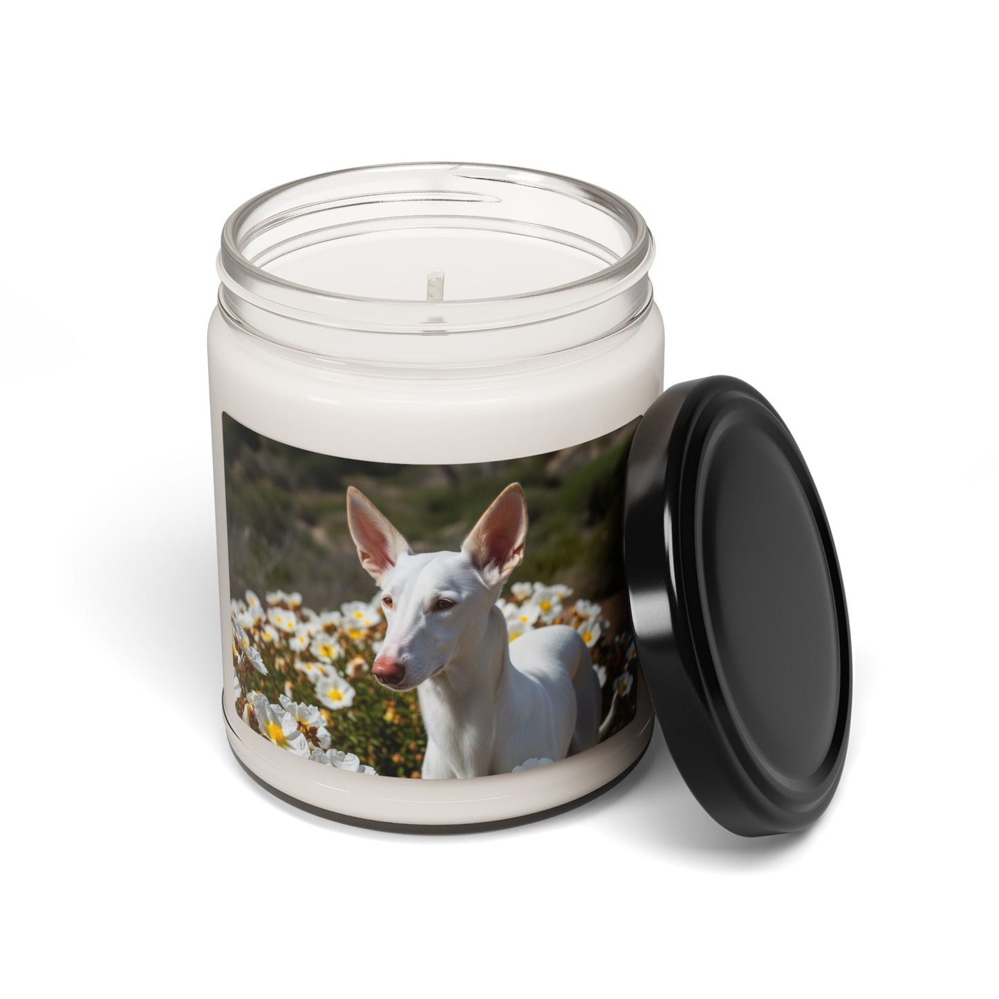 Soy Candle – Scented Jar Candle