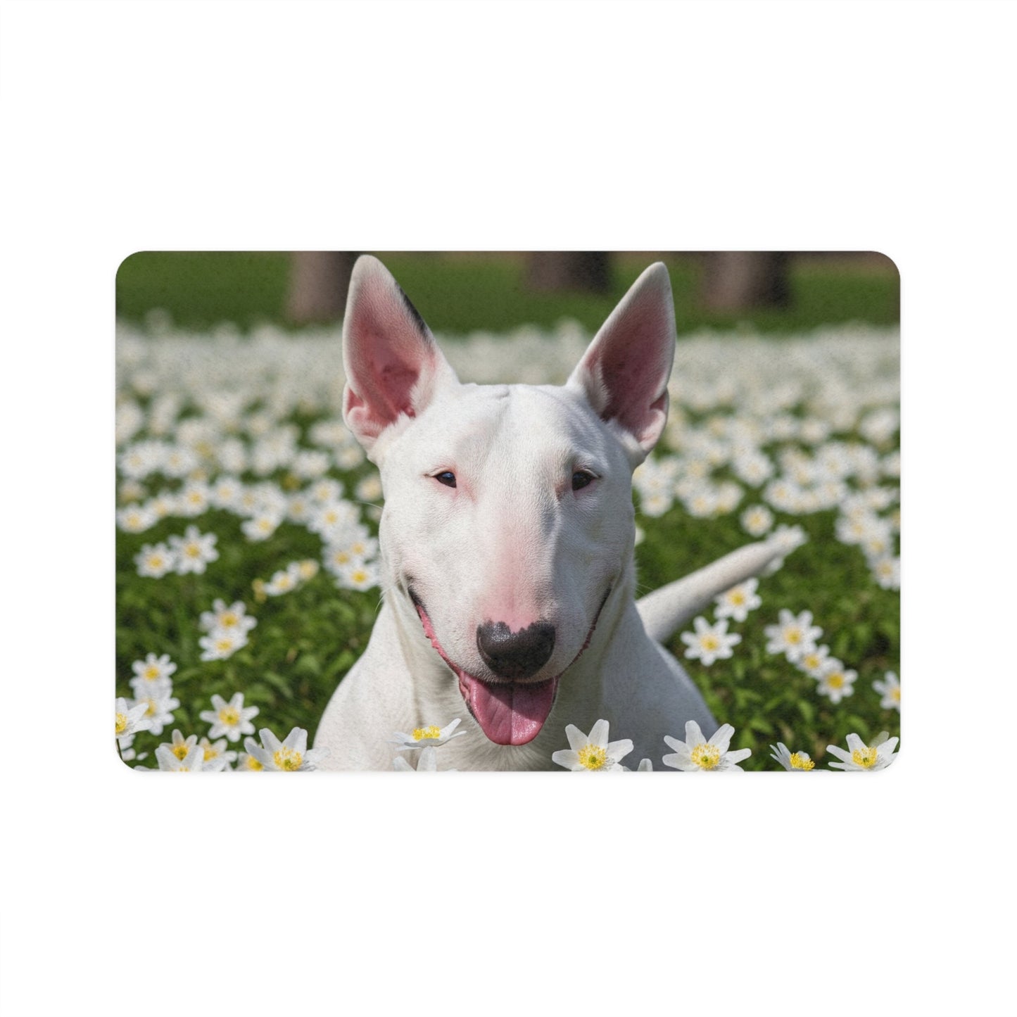 Non-Slip Pet Food Mat – Waterproof Feeding Mat for Dogs