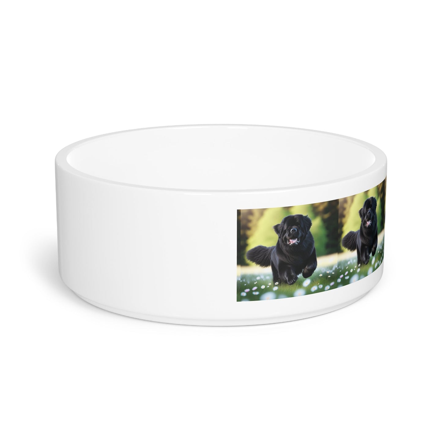 Ceramic Pet Bowl – 16 oz Dog Feeding Bowl