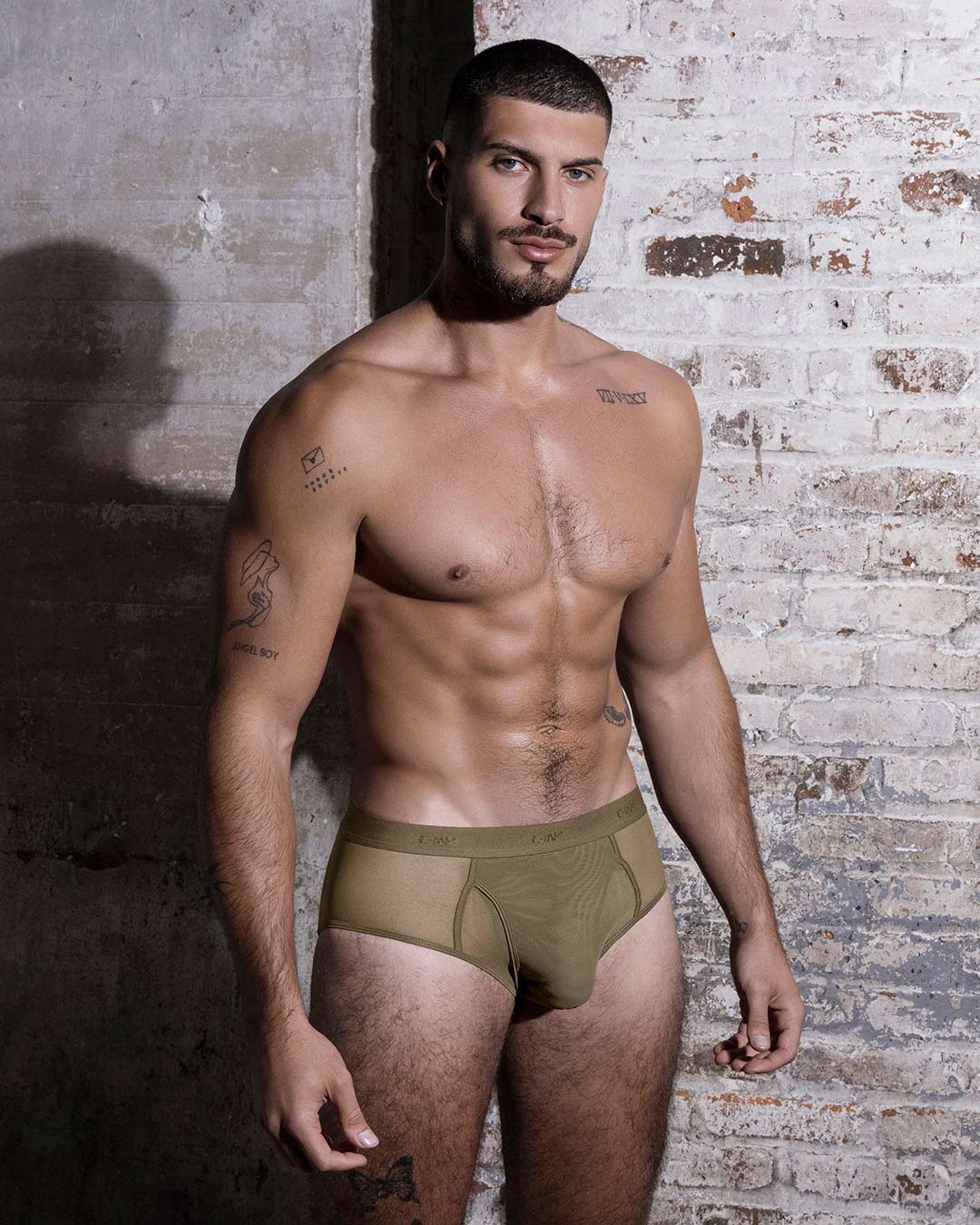 Sheer Fly Front Brief Dark Nude