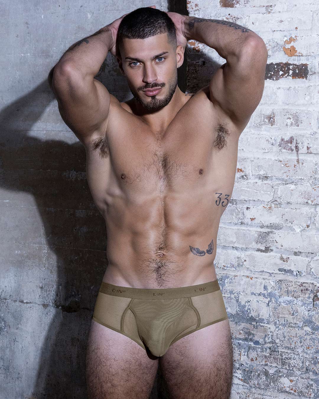 Sheer Fly Front Brief Dark Nude