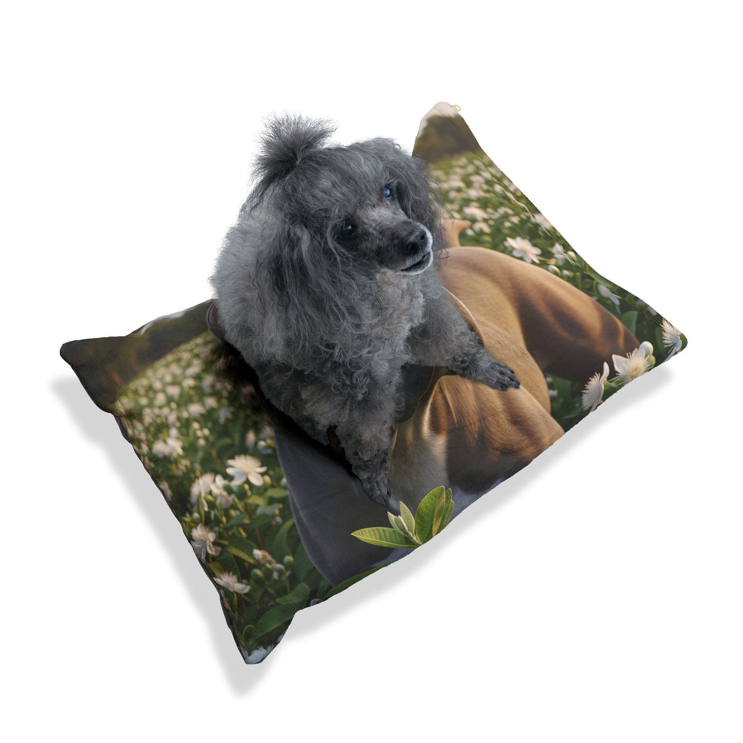 Lit pour animaux de compagnie – Lit douillet pour chien, 3 tailles disponibles