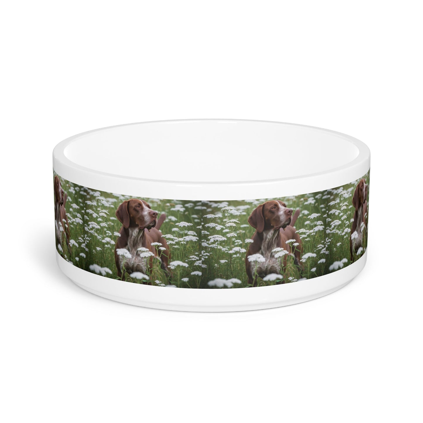 Ceramic Pet Bowl – 16 oz Dog Feeding Bowl