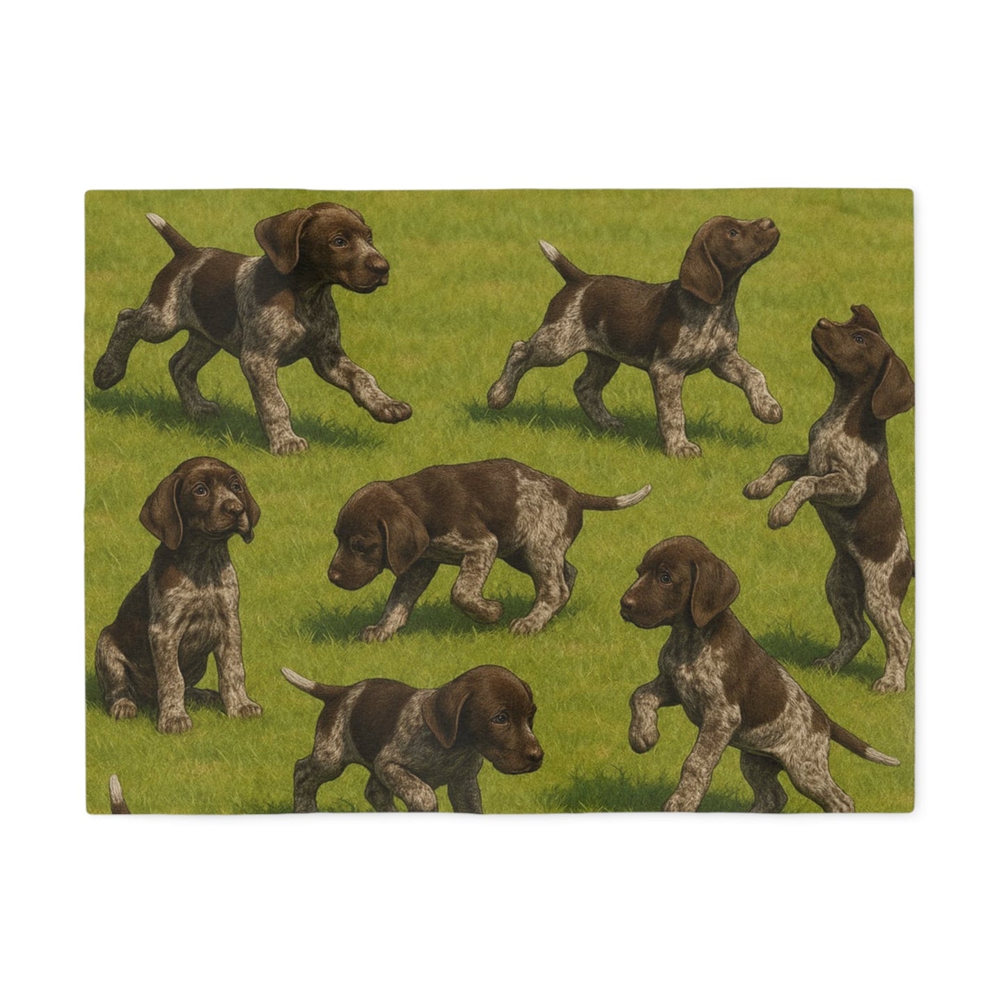 Sweatshirt Blanket – Plush Fleece Throw, 2 Size Options