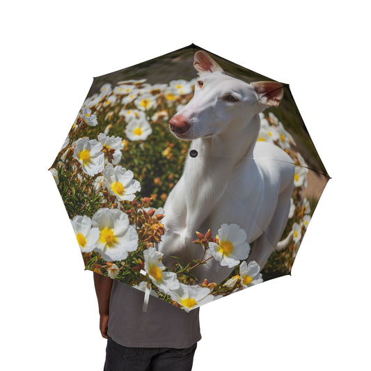 48" Semi-Automatic Umbrella – Windproof Large Travel Rain Umbrella