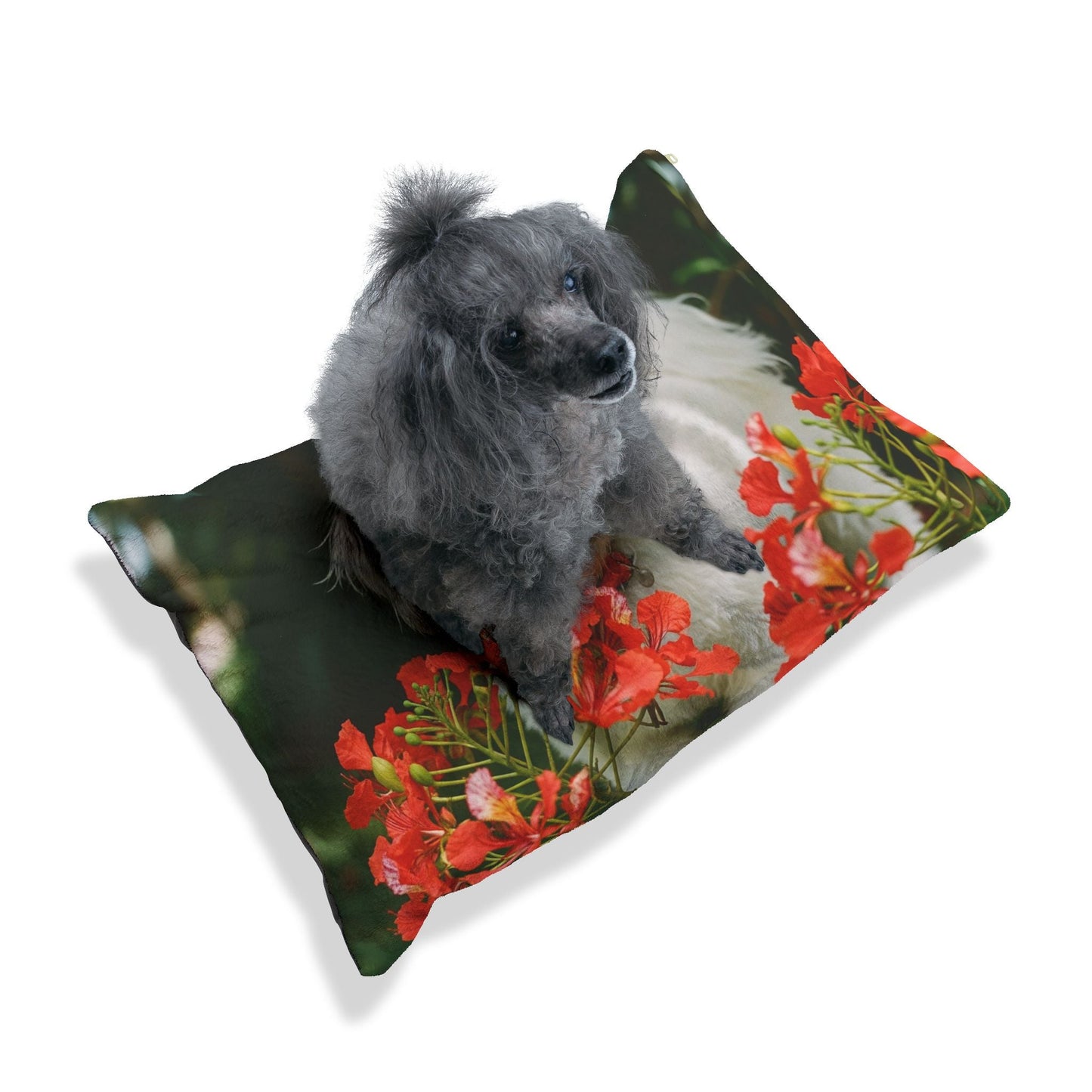 Lit pour animaux – Lit moelleux pour chien, 3 tailles disponibles