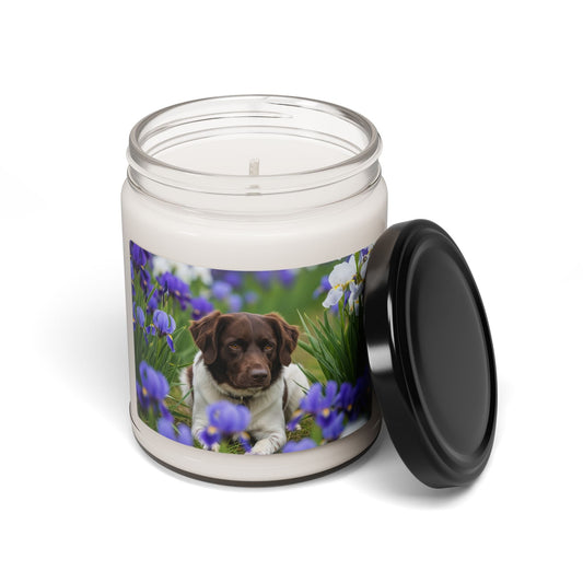 Soy Candle – Scented Jar Candle