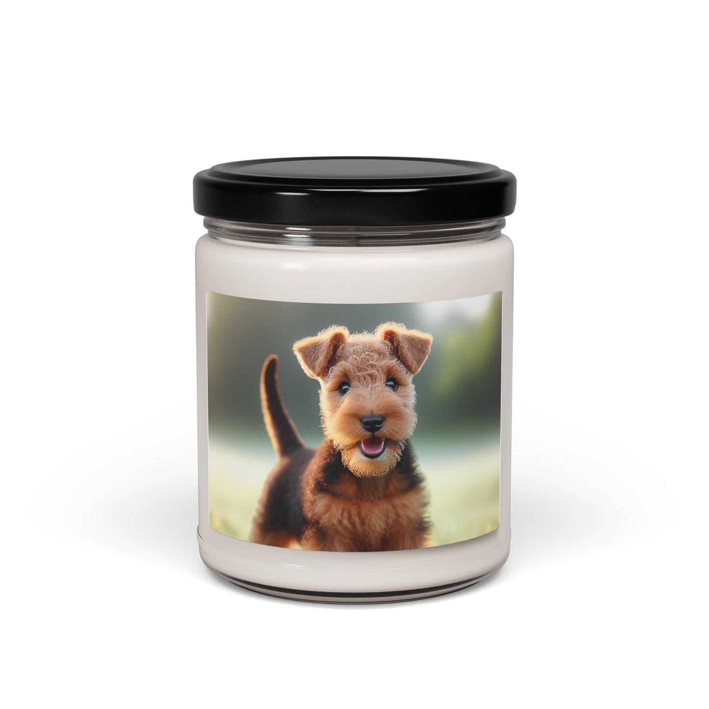 Soy Candle – Scented Jar Candle
