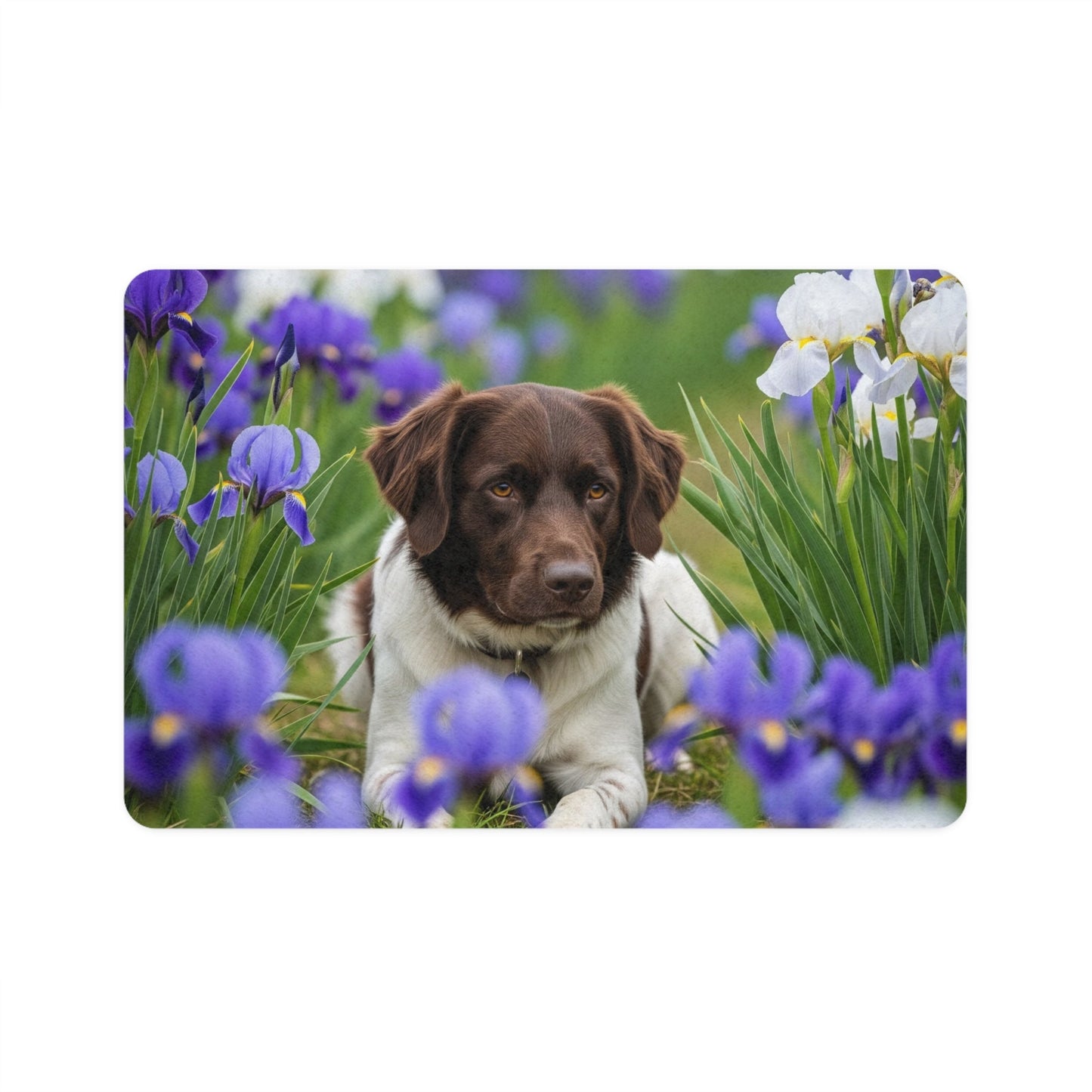 Tapis antidérapant pour animaux de compagnie – Tapis d'alimentation étanche pour chiens