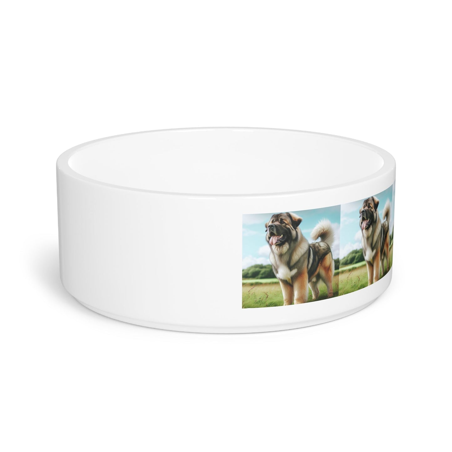 Ceramic Pet Bowl – 16 oz Dog Feeding Bowl