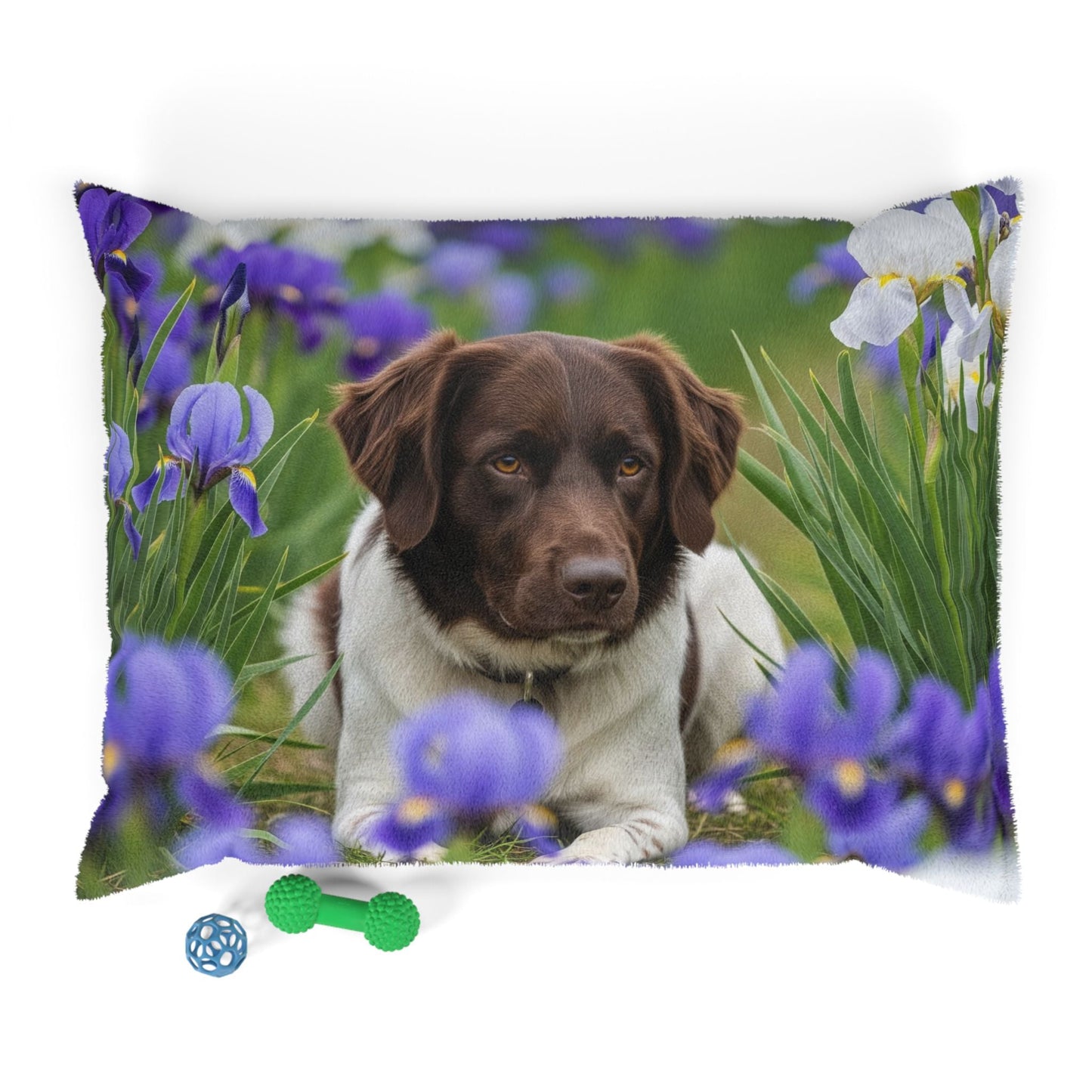 Lit pour animaux de compagnie – Lit douillet pour chien, 3 tailles disponibles