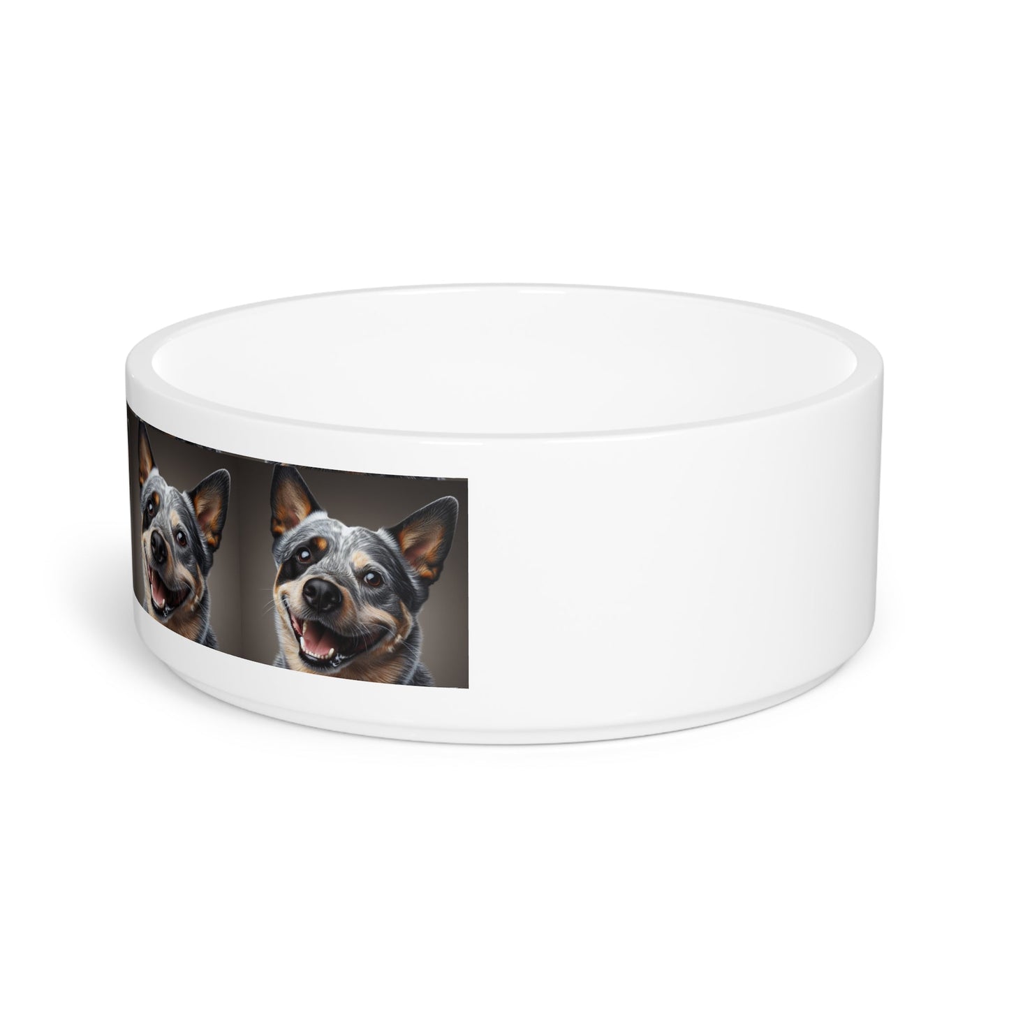 Gamelle en céramique pour animaux de compagnie – Gamelle de 47 cl pour chien