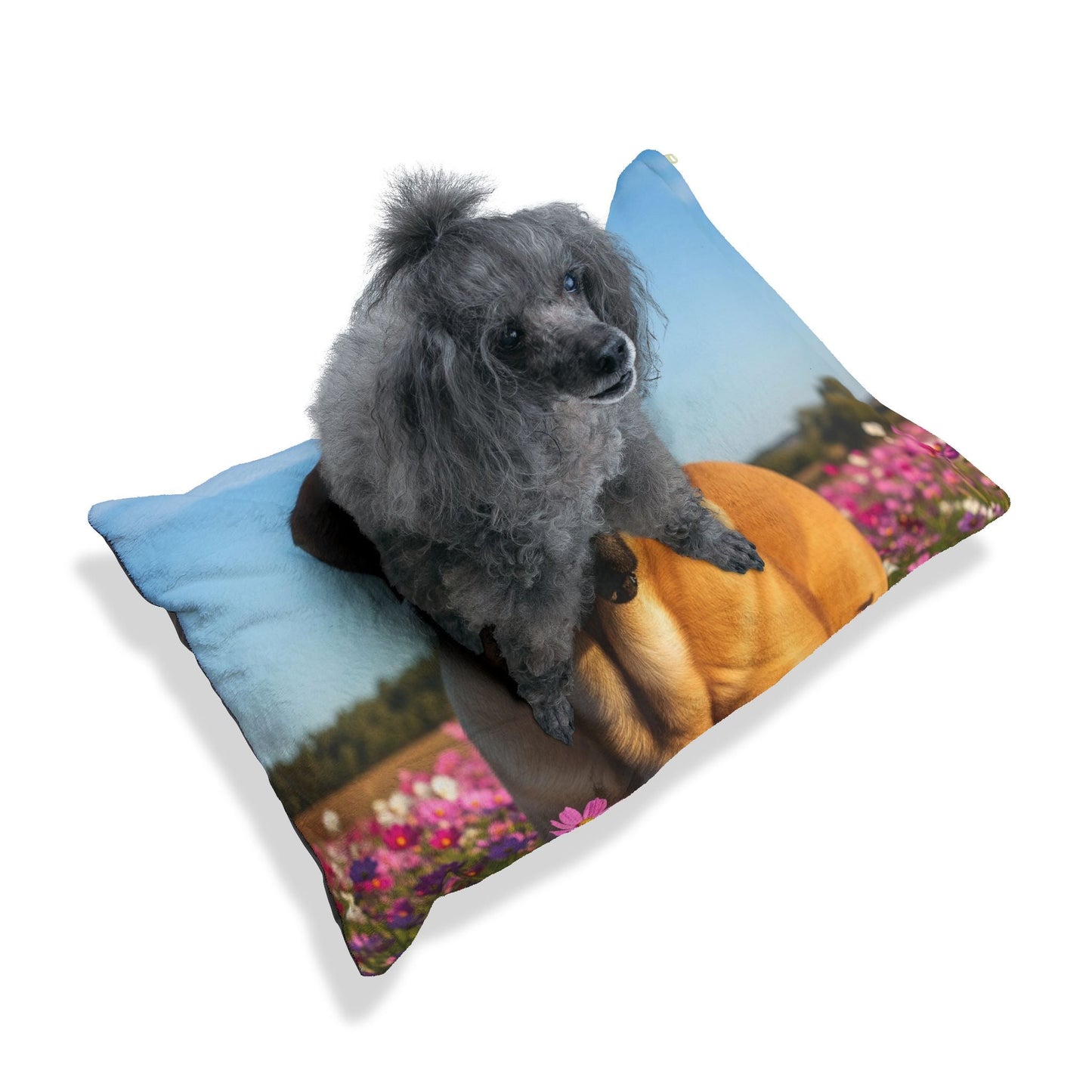 Haustierbett – Plüsch-Hundebett, 3 Größenoptionen