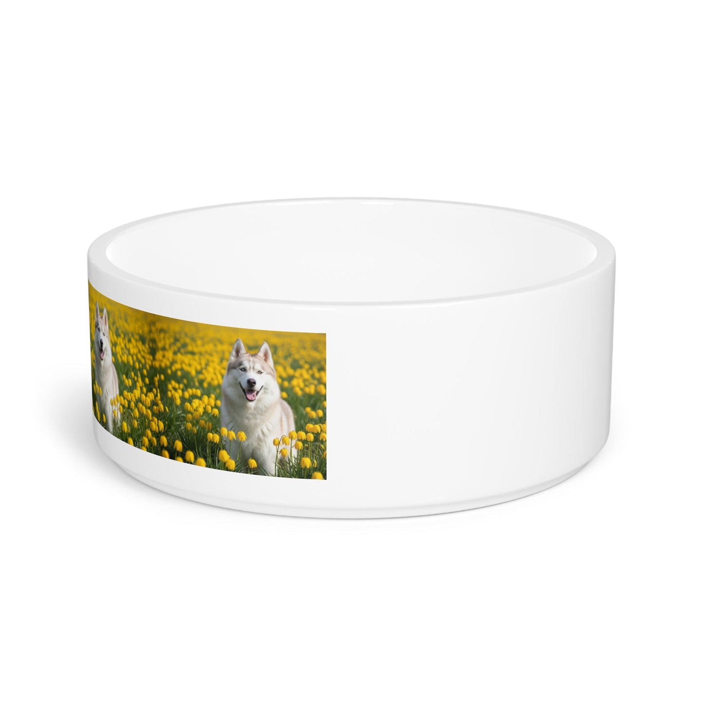 Ceramic Pet Bowl – 16 oz Dog Feeding Bowl
