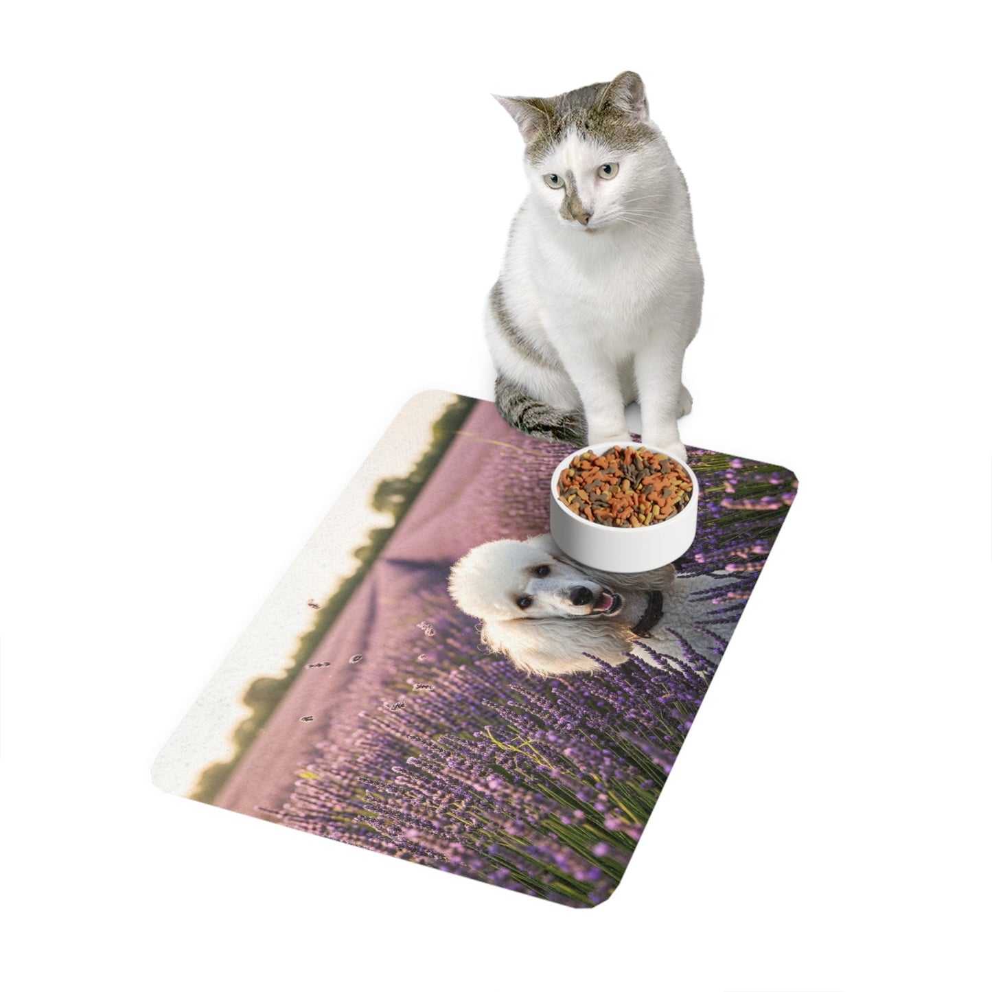 Non-Slip Pet Food Mat – Waterproof Feeding Mat for Dogs
