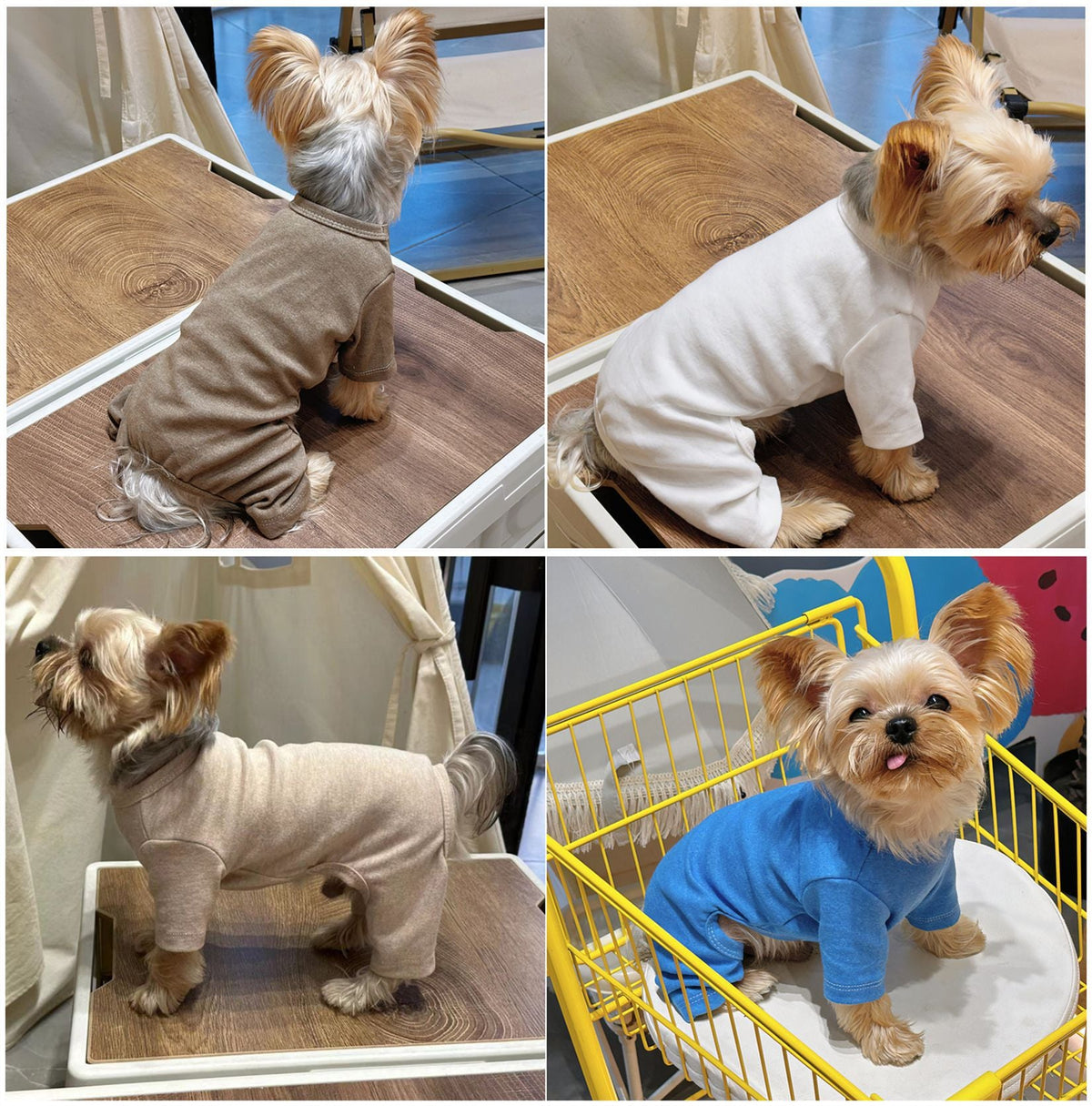 Pet Clothing For Small Dogs, Four-legged Garment
